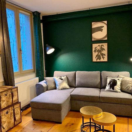 Appartements des 2 Têtes Colmar Extérieur photo