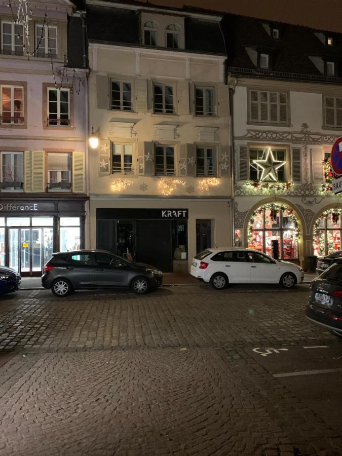 Appartements des 2 Têtes Colmar Extérieur photo