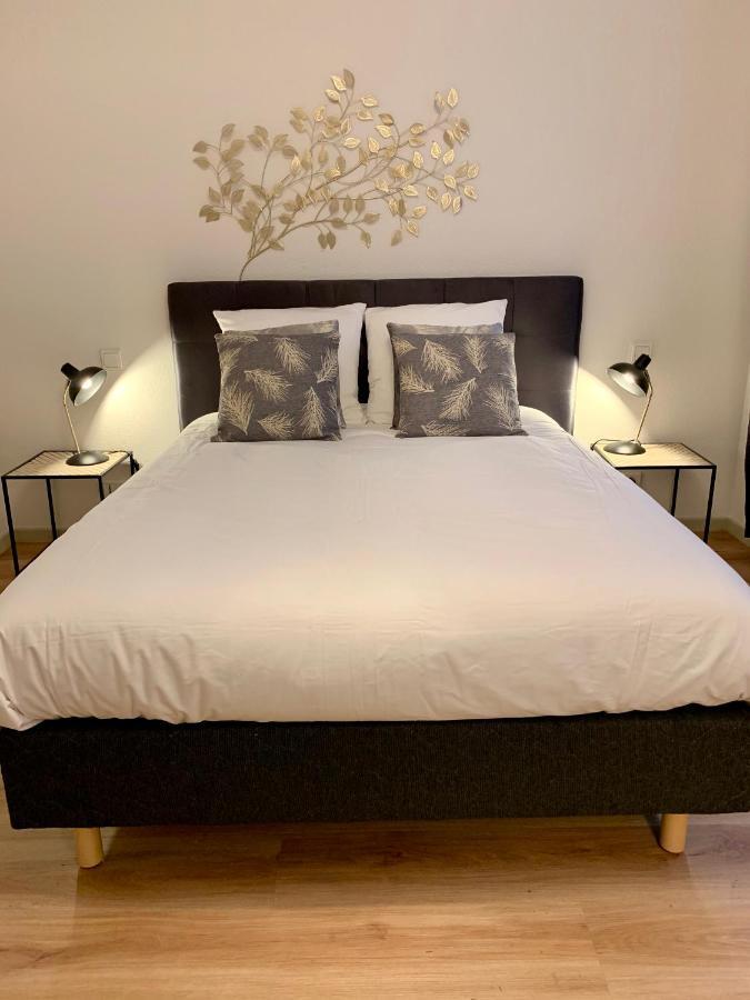 Appartements des 2 Têtes Colmar Extérieur photo