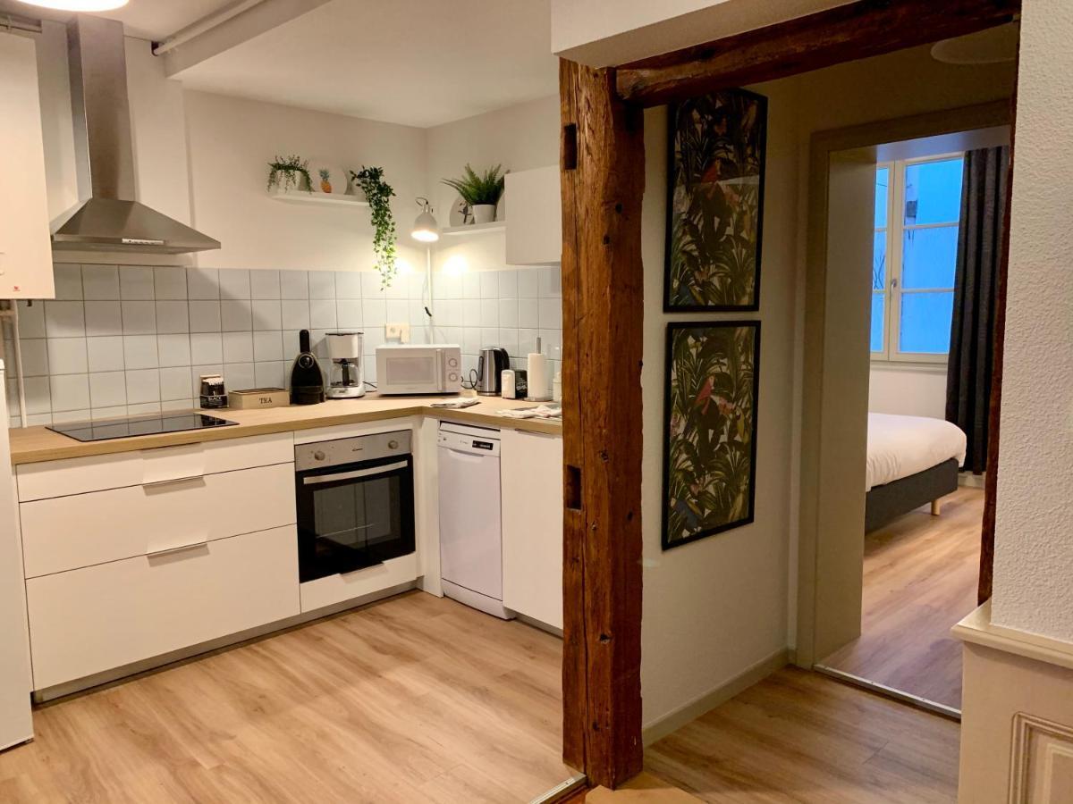 Appartements des 2 Têtes Colmar Extérieur photo
