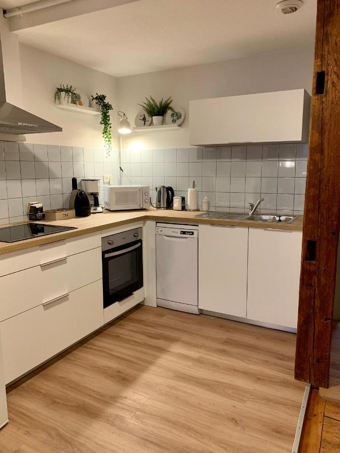 Appartements des 2 Têtes Colmar Extérieur photo