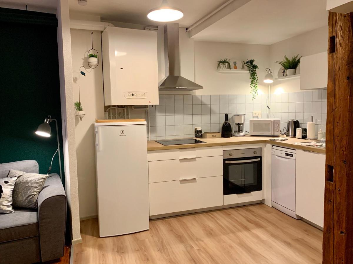 Appartements des 2 Têtes Colmar Extérieur photo
